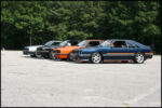 IMG_9425.jpg