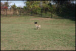 IMG_2703.jpg
