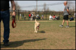 IMG_3857.jpg