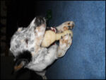 DSCN2526.jpg