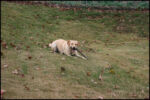 IMG_7254.jpg