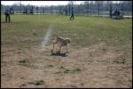 IMG_2826.jpg