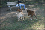 IMG_2804.jpg