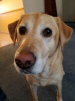 20170407_103712.jpg