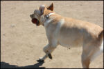 IMG_8019.jpg