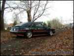 PB270033.jpg