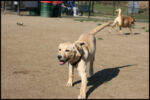 IMG_2647.jpg