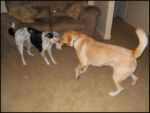 DSCN2456.jpg