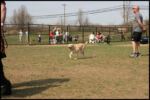 IMG_3855.jpg