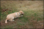 IMG_7186.jpg