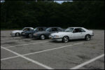 IMG_2942.jpg
