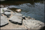 IMG_4742.jpg