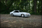 1986-mustang-svo-img_8539.jpg