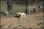 IMG_2590.jpg