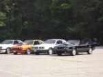 Fox-a-Que2010058.jpg