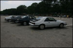 IMG_2963.jpg