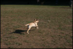 IMG_2784.jpg