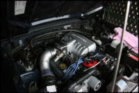 IMG_7866.jpg
