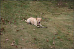 IMG_7259.jpg