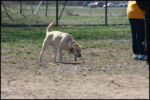 IMG_7970.jpg