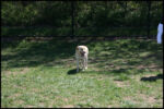 IMG_4426.jpg