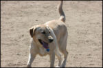 IMG_7963.jpg