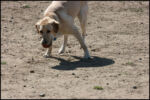 IMG_8015.jpg