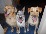 DSCN2443.jpg