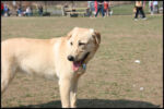 IMG_3832.jpg