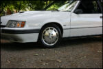 1986-mustang-svo-img_8582.jpg