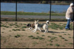 IMG_2623.jpg