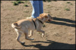 IMG_2640.jpg
