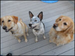 DSCN2494.jpg