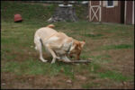 IMG_7173.jpg