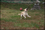 IMG_7177.jpg