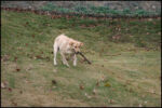 IMG_7253.jpg