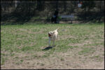 IMG_8008.jpg