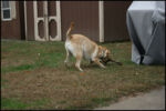 IMG_7162.jpg