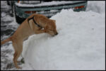 First Snow 12-20-09