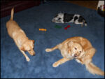 DSCN2531.jpg