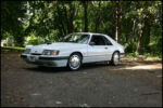 1986-mustang-svo-img_8561.jpg