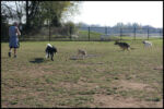 IMG_2822.jpg