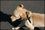 IMG_2284.jpg