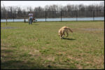 IMG_3794.jpg