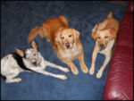 DSCN2532.jpg