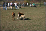 IMG_2795.jpg