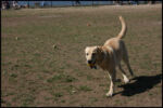 IMG_3799.jpg