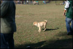 IMG_2805.jpg