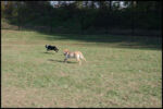 IMG_2701.jpg