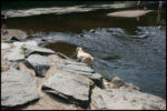 IMG_4743.jpg